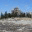 adynamictheme.wordpress.com