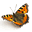 mindflyer.ch