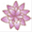 lotus-sari.com