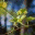 frontrangebackyardviticulture.com