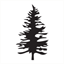 borealstudio.ca