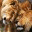 fuzzypebble.wordpress.com