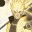 grillo2403.wordpress.com
