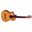 guitarinstruments.com