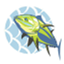 nsfcharters.com