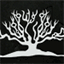 raintreeblackcoral.com