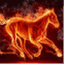 equidia.wordpress.com
