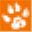 bestwebsite.pl
