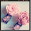 puffylambbows.wordpress.com