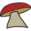 mushroomshack.com