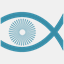 aspendora.com