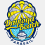 dayucai.com