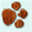 dashaustierforum.de