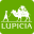 lupicia.com