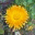 allthesefeathers.wordpress.com