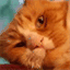 mrml.net