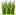 teffgrass.com