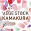 vegestock.jp