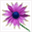 seedlingscience.org