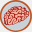 techminds.co