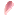 schaaffloral.com