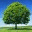 stevanpetrov.wordpress.com