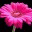 lightupliterally.wordpress.com