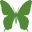 azzaifun.com