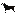 moonefieldcanecorsos.com
