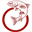 rotoruatroutguide.co.nz