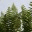 jsrdesignscape.wordpress.com