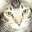 darlingcat.wordpress.com
