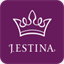 jestina.co.kr