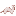 washingtonferret.net