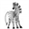 cocozebra.com