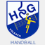 hsg-volkach.de