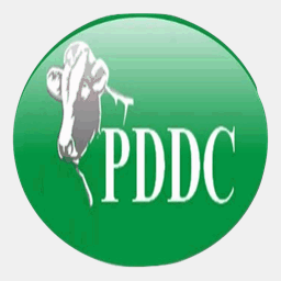 pddc.com.pk