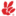 cactustape.com