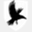 ravencastle.com