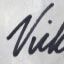 vickijunkwright.com