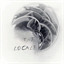 thelocale.co.uk