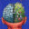 myperson.info
