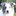 borderstarcollies.co.uk