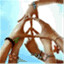 mickutzablog.wordpress.com
