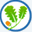 yolv.net
