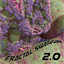 fractalswaggin.bandcamp.com