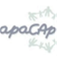 apacap.org