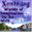 seo.xenite.org