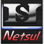netsul.inf.br