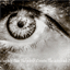 blog.mauricespees.com